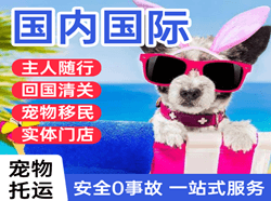 图木舒克唐王城机场快递国际宠物托运 【国